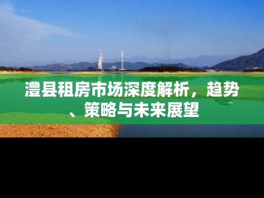 澧县租房市场深度解析，趋势、策略与未来展望