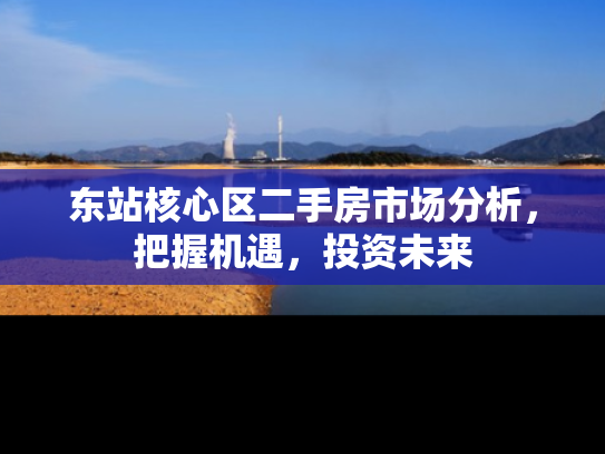 东站核心区二手房市场分析，把握机遇，投资未来