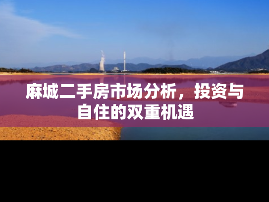 麻城二手房市场分析，投资与自住的双重机遇