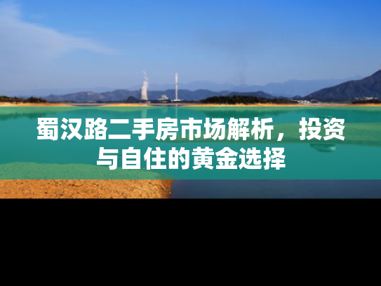 蜀汉路二手房市场解析，投资与自住的黄金选择