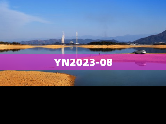 YN2023-08