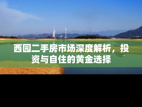 西园二手房市场深度解析，投资与自住的黄金选择