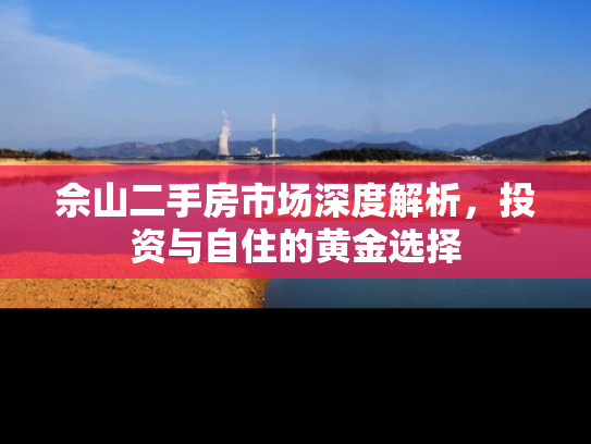 佘山二手房市场深度解析，投资与自住的黄金选择