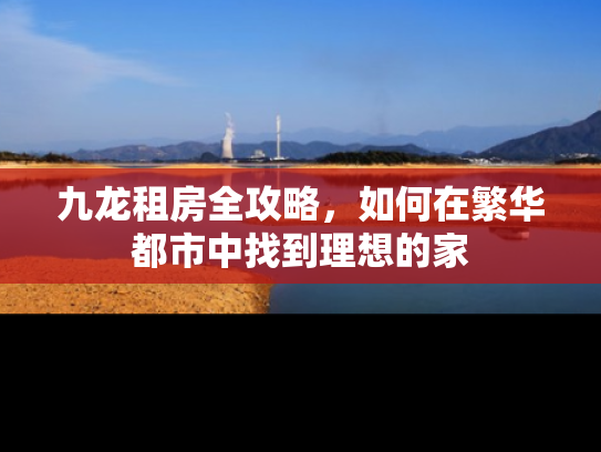 九龙租房全攻略，如何在繁华都市中找到理想的家