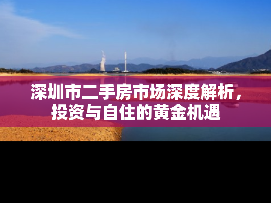 深圳市二手房市场深度解析，投资与自住的黄金机遇