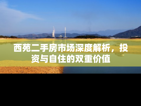 西苑二手房市场深度解析，投资与自住的双重价值
