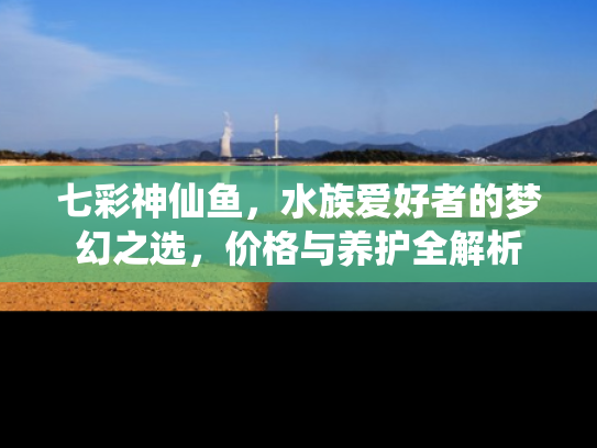 七彩神仙鱼，水族爱好者的梦幻之选，价格与养护全解析