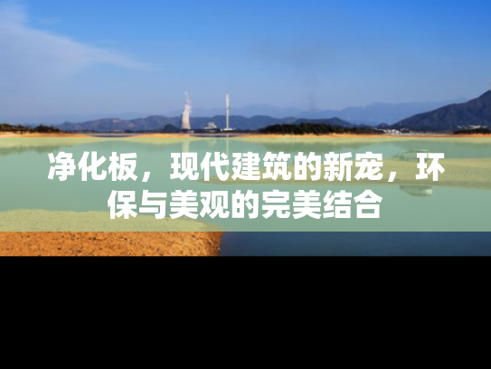 净化板，现代建筑的新宠，环保与美观的完美结合