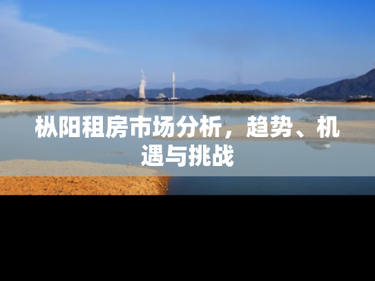枞阳租房市场分析，趋势、机遇与挑战