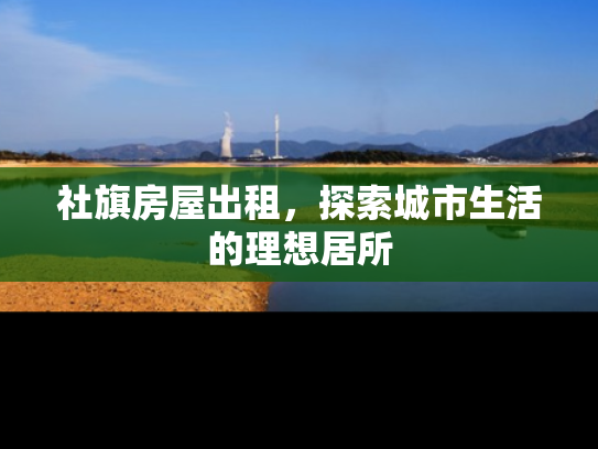 社旗房屋出租，探索城市生活的理想居所