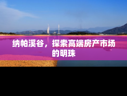 纳帕溪谷，探索高端房产市场的明珠