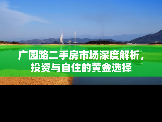 广园路二手房市场深度解析，投资与自住的黄金选择