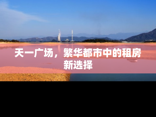 天一广场，繁华都市中的租房新选择