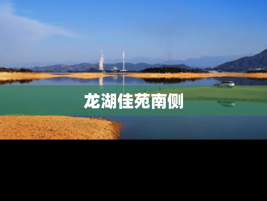 龙湖佳苑南侧