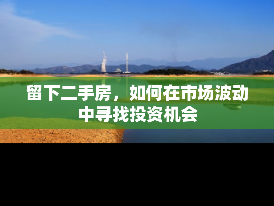 留下二手房，如何在市场波动中寻找投资机会
