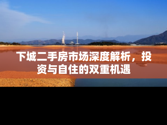 下城二手房市场深度解析，投资与自住的双重机遇