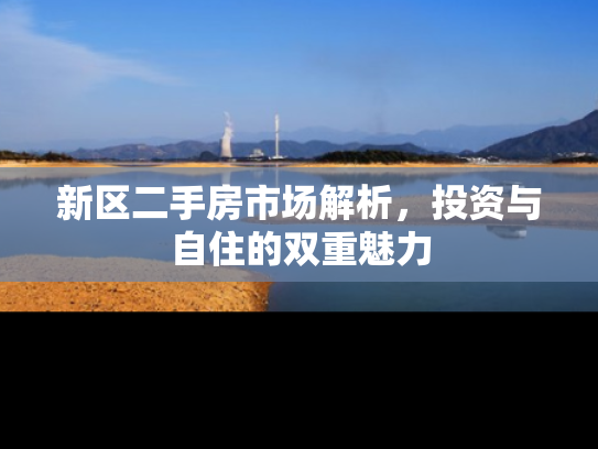 新区二手房市场解析，投资与自住的双重魅力