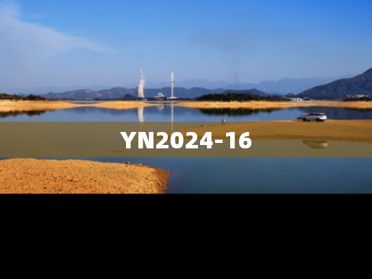YN2024-16