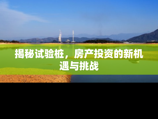 揭秘试验桩，房产投资的新机遇与挑战
