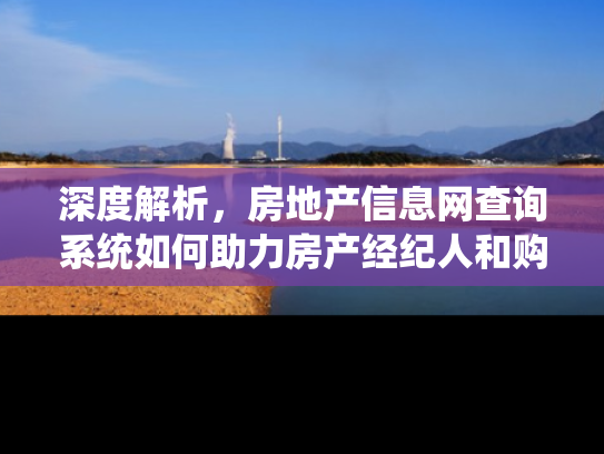 深度解析，房地产信息网查询系统如何助力房产经纪人和购房者
