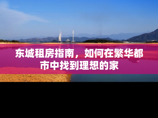 东城租房指南，如何在繁华都市中找到理想的家