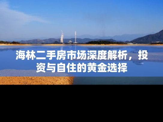 海林二手房市场深度解析，投资与自住的黄金选择