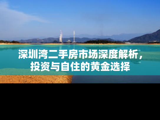 深圳湾二手房市场深度解析，投资与自住的黄金选择