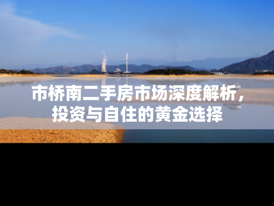 市桥南二手房市场深度解析，投资与自住的黄金选择