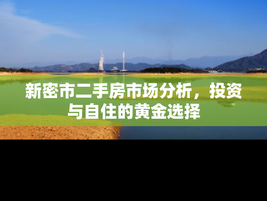 新密市二手房市场分析，投资与自住的黄金选择