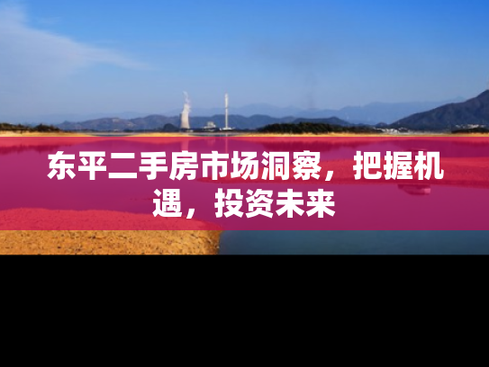 东平二手房市场洞察，把握机遇，投资未来