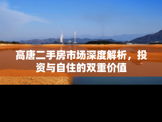 高唐二手房市场深度解析，投资与自住的双重价值
