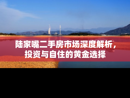 陆家嘴二手房市场深度解析，投资与自住的黄金选择