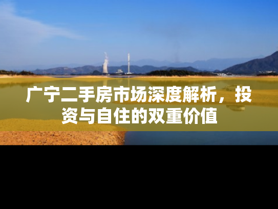 广宁二手房市场深度解析，投资与自住的双重价值