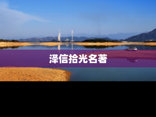 泽信拾光名著