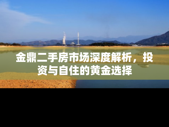 金鼎二手房市场深度解析，投资与自住的黄金选择