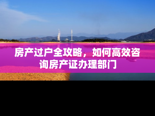 房产过户全攻略，如何高效咨询房产证办理部门