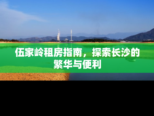 伍家岭租房指南，探索长沙的繁华与便利