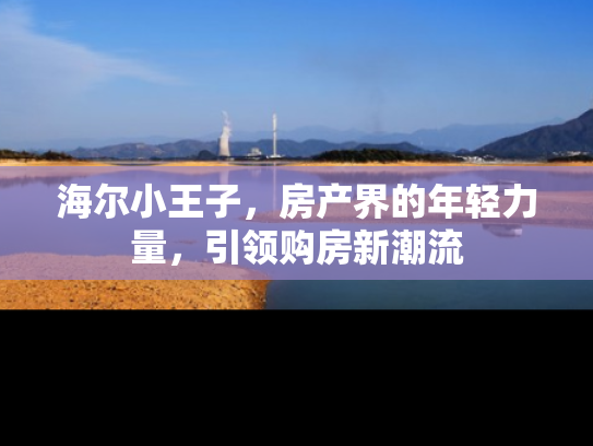 海尔小王子，房产界的年轻力量，引领购房新潮流