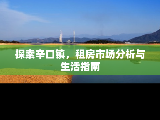 探索辛口镇，租房市场分析与生活指南