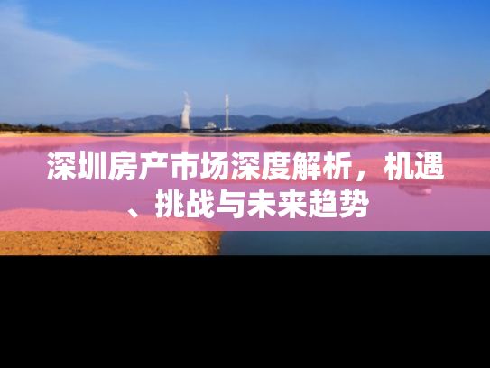 深圳房产市场深度解析，机遇、挑战与未来趋势