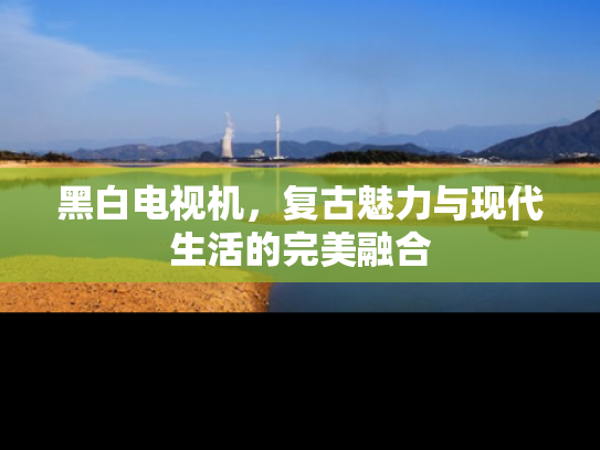 黑白电视机，复古魅力与现代生活的完美融合