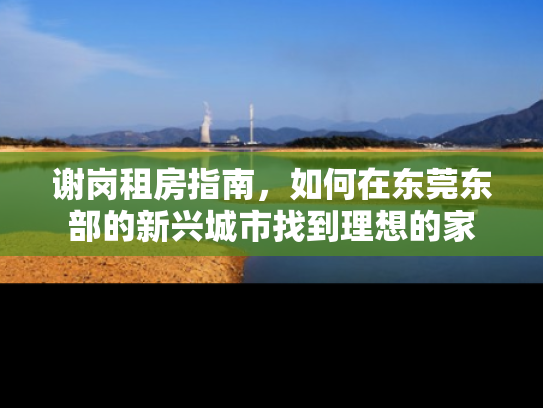 谢岗租房指南，如何在东莞东部的新兴城市找到理想的家