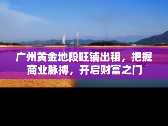广州黄金地段旺铺出租，把握商业脉搏，开启财富之门