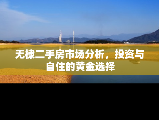 无棣二手房市场分析，投资与自住的黄金选择