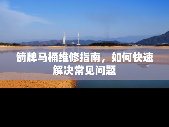 箭牌马桶维修指南，如何快速解决常见问题