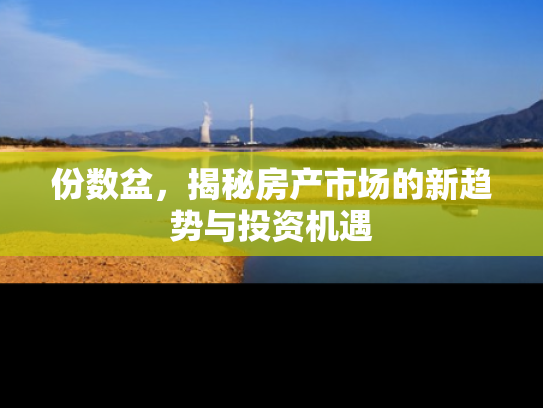 份数盆，揭秘房产市场的新趋势与投资机遇