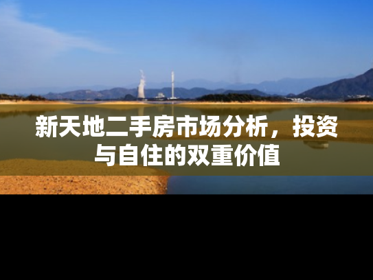 新天地二手房市场分析，投资与自住的双重价值