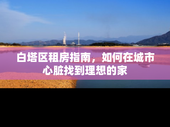 白塔区租房指南，如何在城市心脏找到理想的家