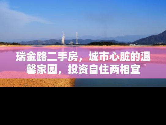 瑞金路二手房，城市心脏的温馨家园，投资自住两相宜