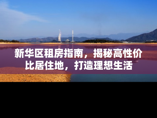 新华区租房指南，揭秘高性价比居住地，打造理想生活